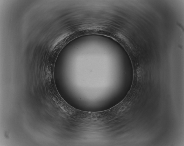 X0000103481064200809121645