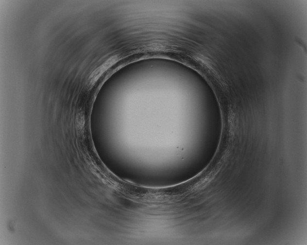 X0000103481065200809121645