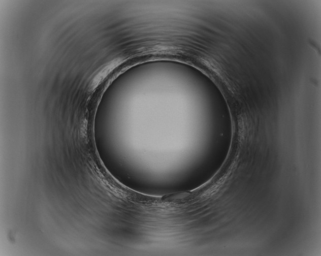 X0000103481066200809121645