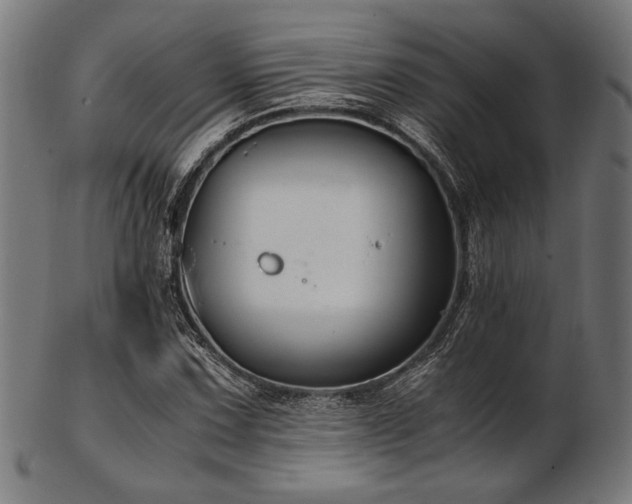 X0000103481067200809121645
