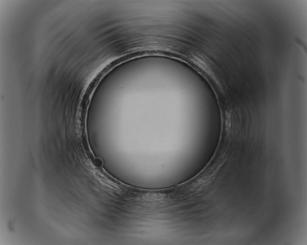 X0000103481068200809121645