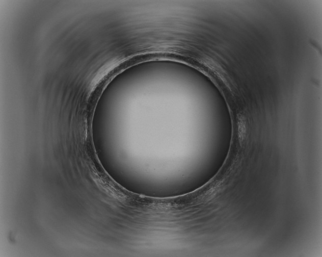 X0000103481069200809121645