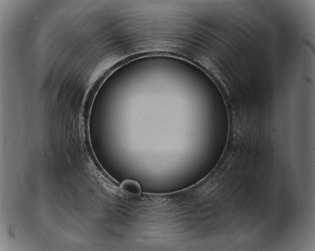 X0000103481072200809121645