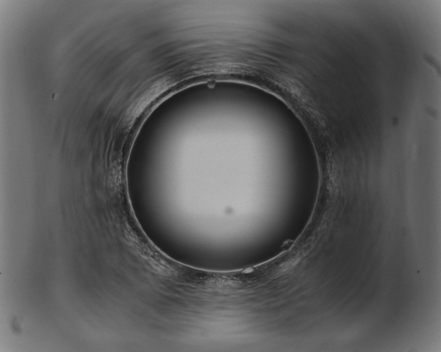 X0000103481073200809121645