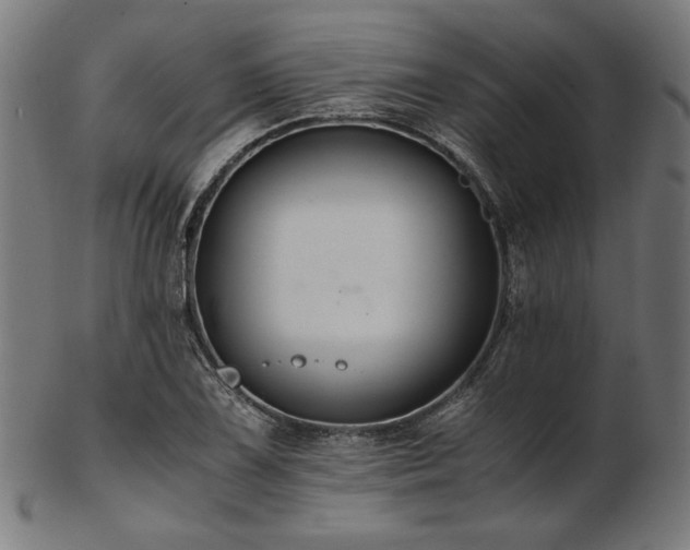 X0000103481075200809121645