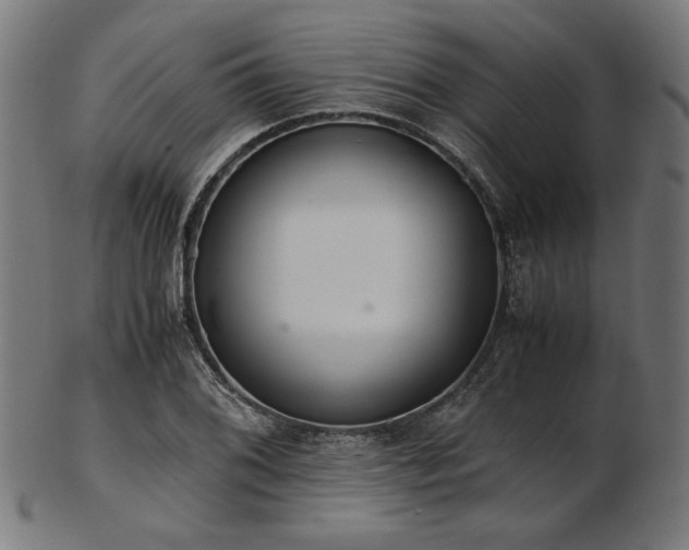 X0000103481076200809121645