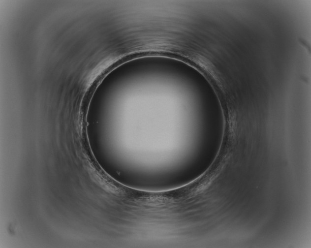 X0000103481077200809121645