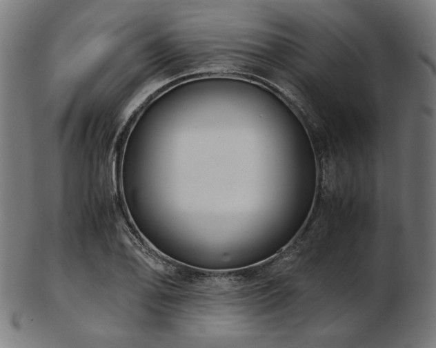 X0000103481078200809121645