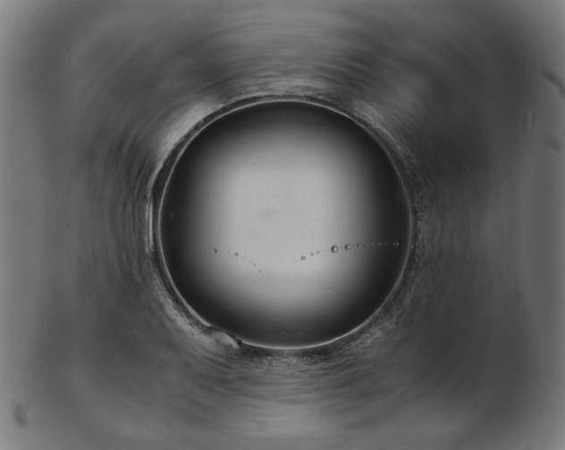 X0000103481079200809121645