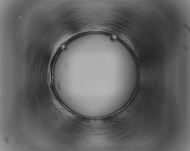 X0000103481080200809121645