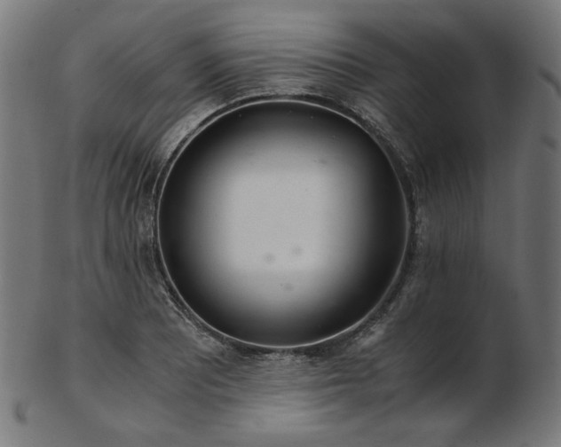 X0000103481081200809121645