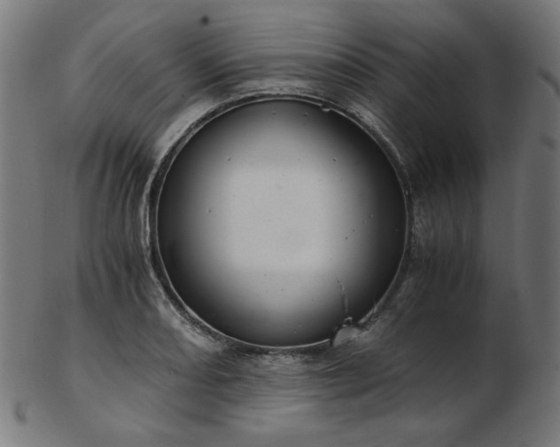 X0000103481082200809121645