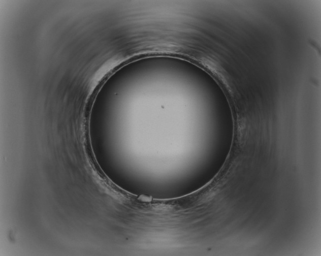 X0000103481085200809121645