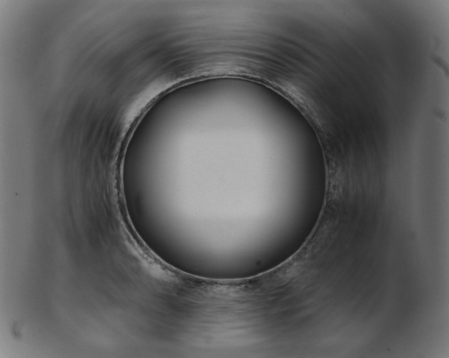 X0000103481086200809121645