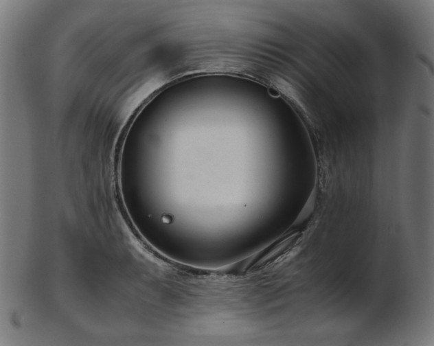 X0000103481087200809121645