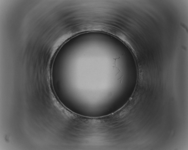 X0000103481088200809121645