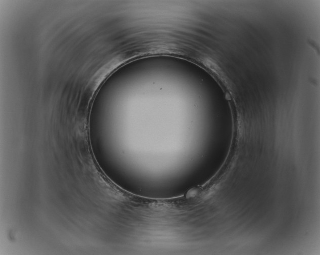 X0000103481089200809121645