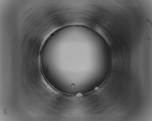 X0000103481092200809121645