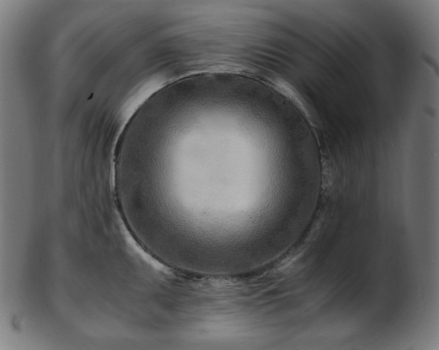 X0000103481095200809121644