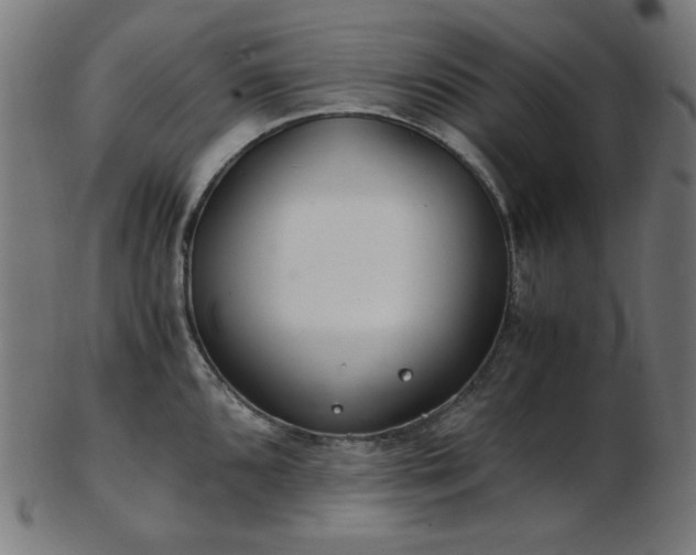X0000103481096200809121644