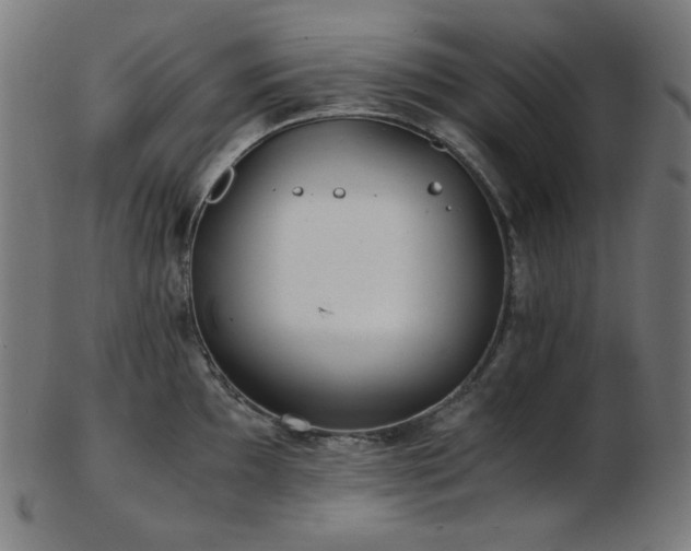 X0000103481097200809121644