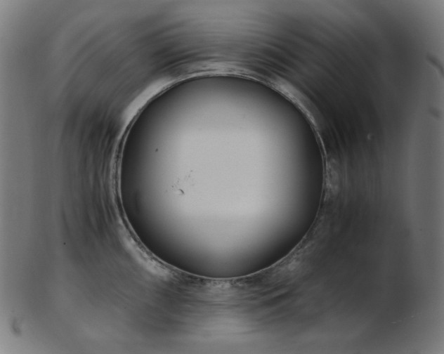 X0000103481098200809121644