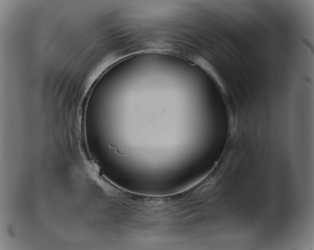 X0000103481099200809121644