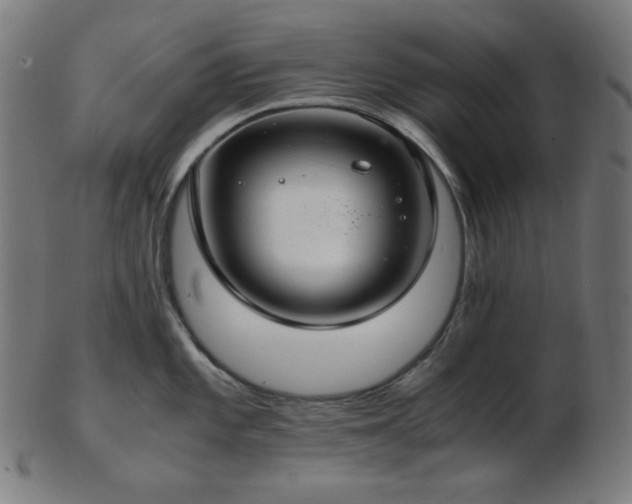 X0000103481101200809121644