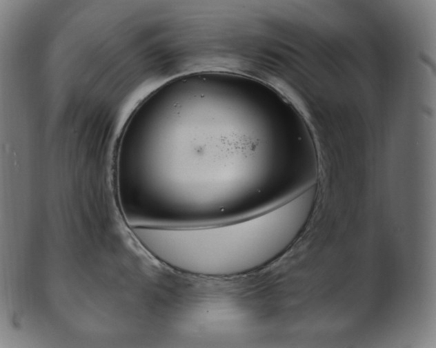 X0000103481104200809121644