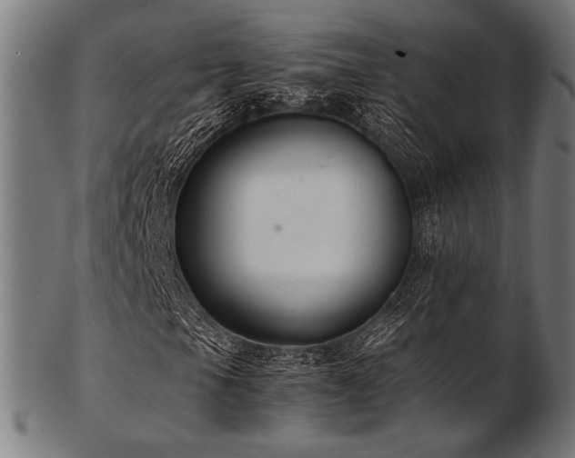 X0000103481105200809121644