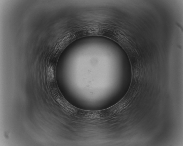 X0000103481106200809121644