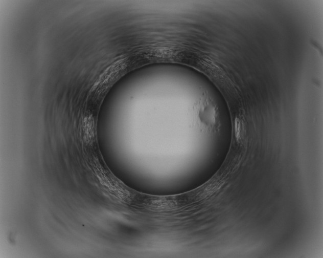 X0000103481107200809121644