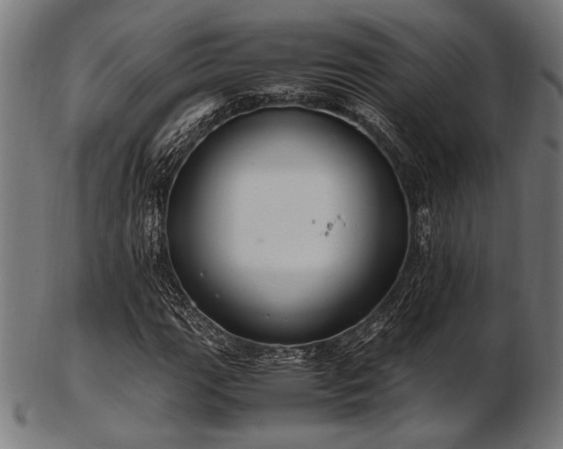X0000103481111200809121644