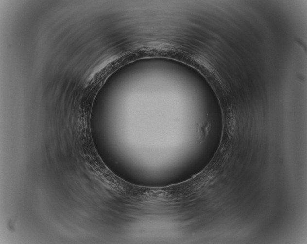 X0000103481112200809121644