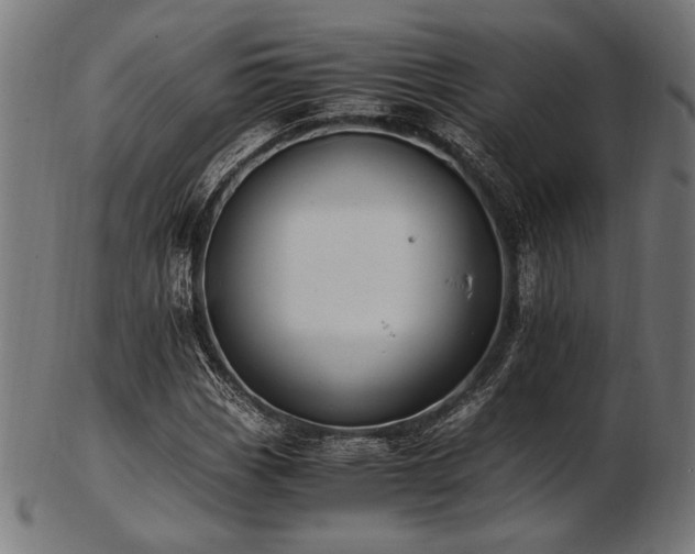 X0000103481113200809121644
