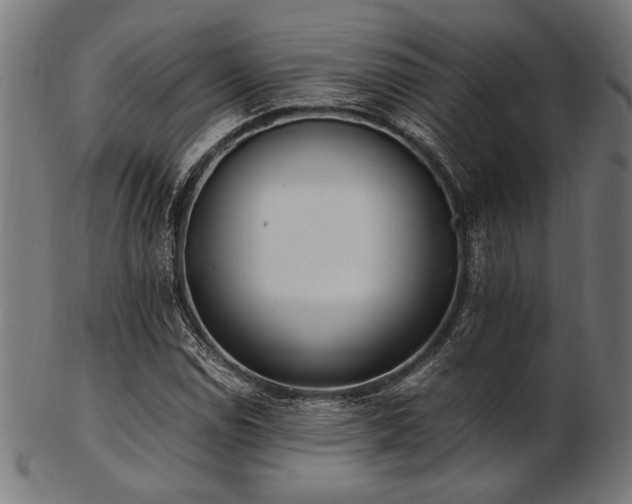 X0000103481114200809121644