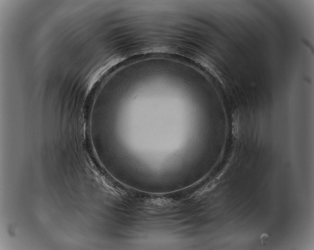 X0000103481117200809121644