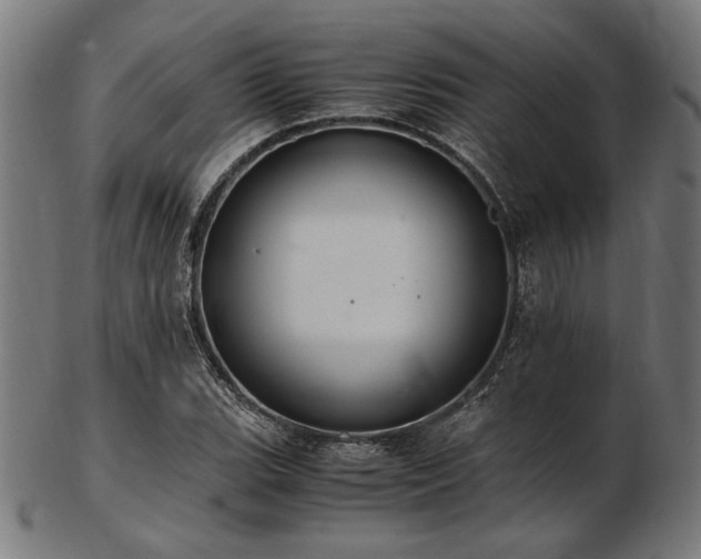 X0000103481119200809121644