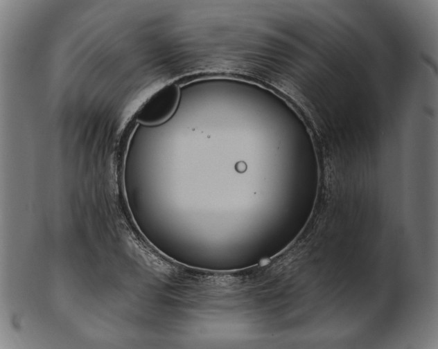 X0000103481120200809121644