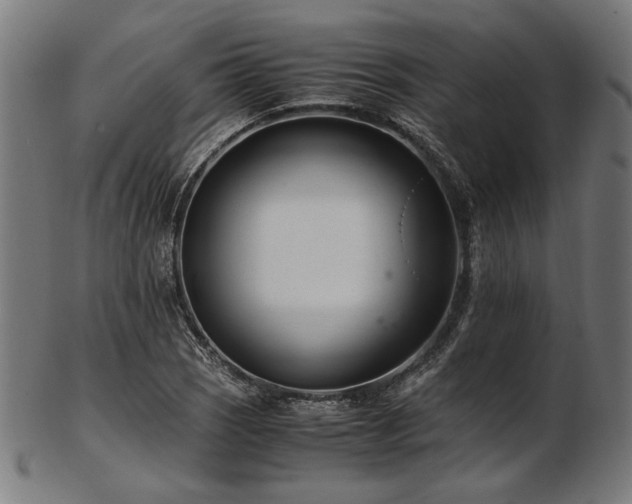 X0000103481121200809121644