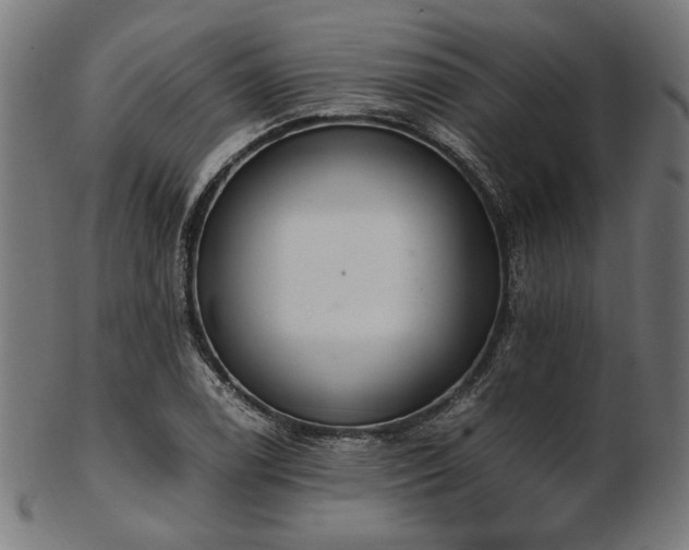 X0000103481122200809121644
