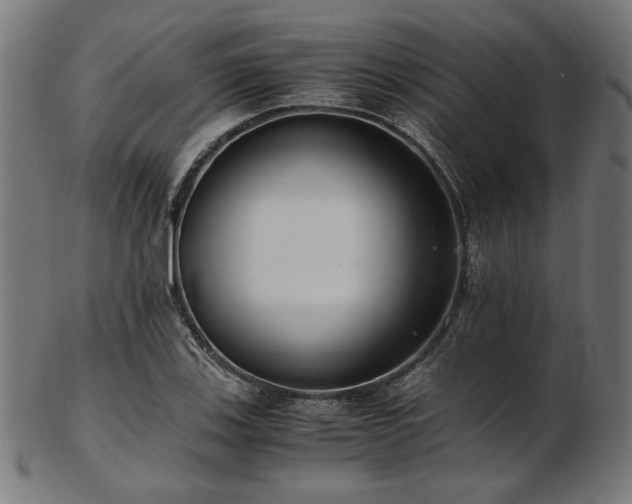 X0000103481123200809121644