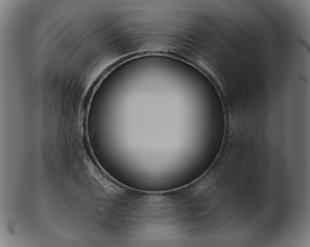 X0000103481124200809121644