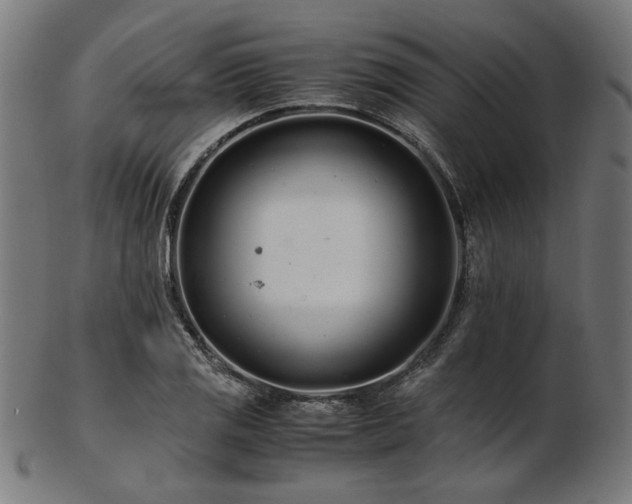 X0000103481125200809121644