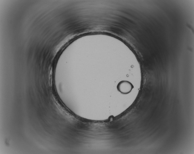 X0000103481126200809121644