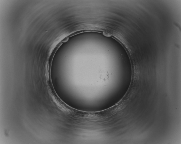 X0000103481128200809121644