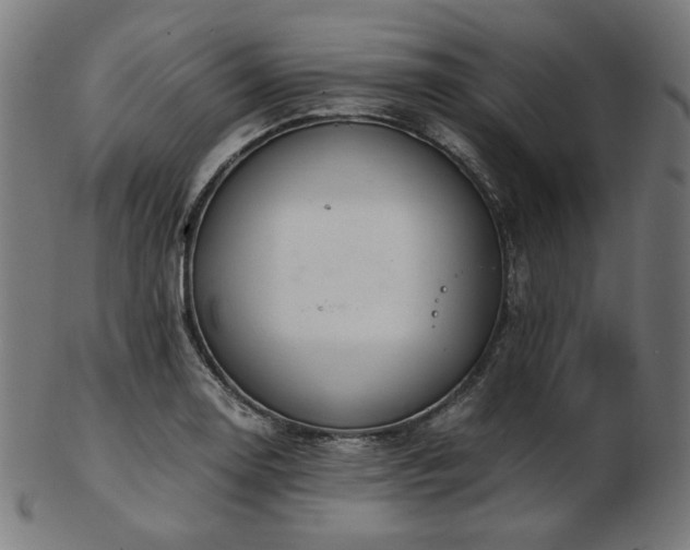 X0000103481130200809121644