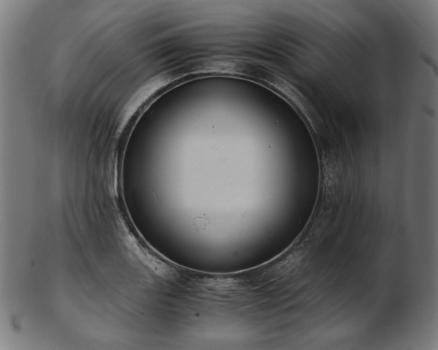 X0000103481131200809121644
