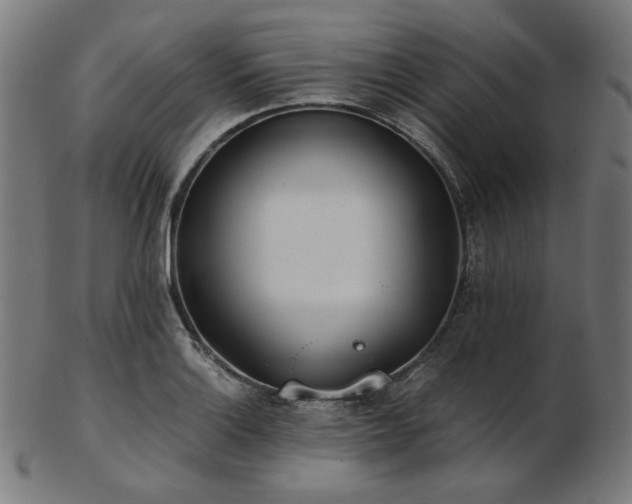 X0000103481132200809121644