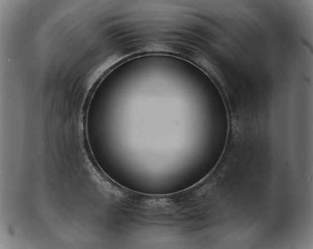 X0000103481133200809121644